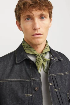 Bandana paisley