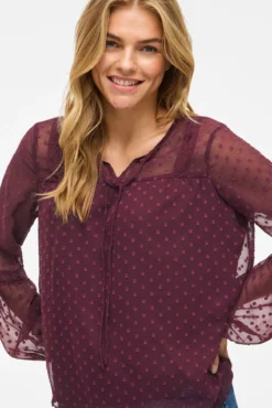 Blusa manga larga plumeti