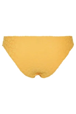 Braguita de bikini