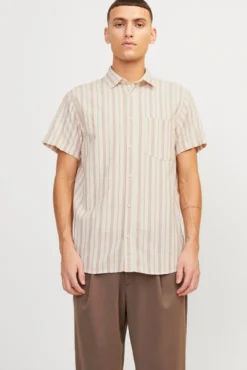 Camisa lino de rayas