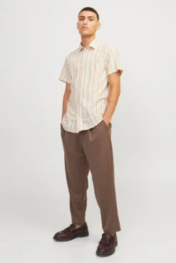 Camisa lino de rayas