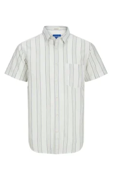 Camisa lino de rayas