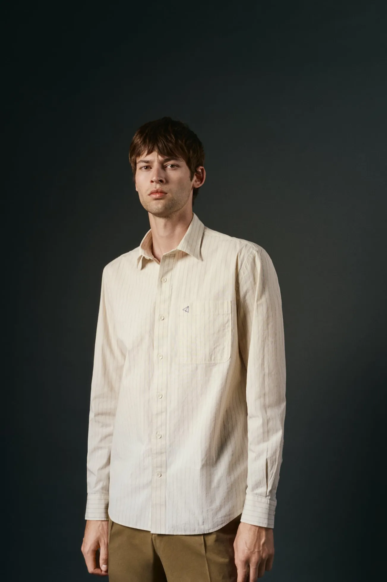 Camisa rayas estructura