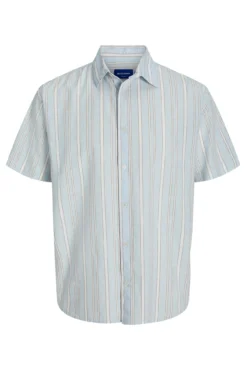 Camisa relaxed fit PLUS
