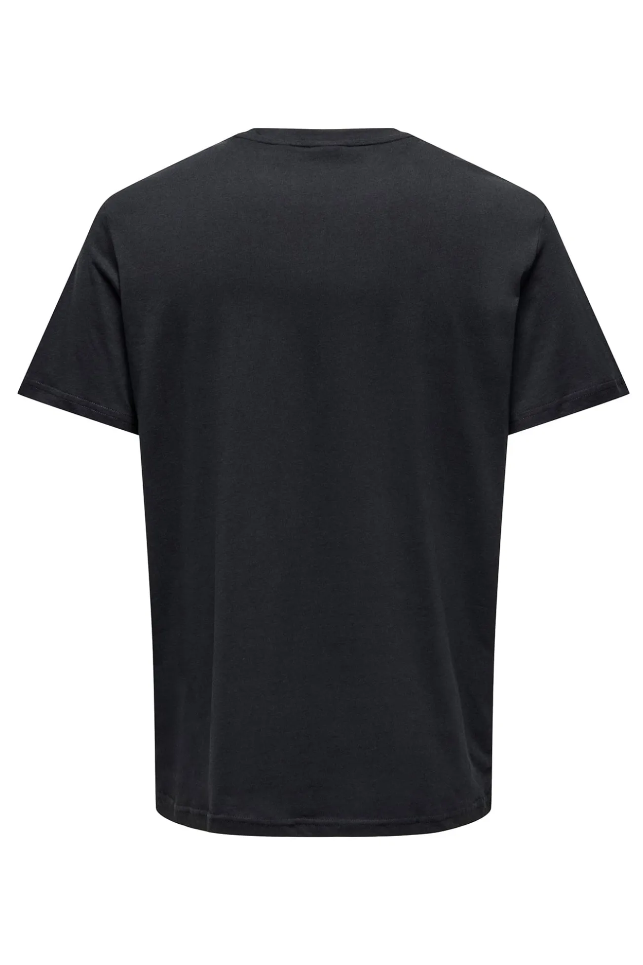 Camiseta de hombre regular fit. 100% algodón orgánico.