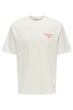 Camiseta dibujo trasero