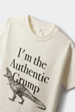 Camiseta dinosaurio niño