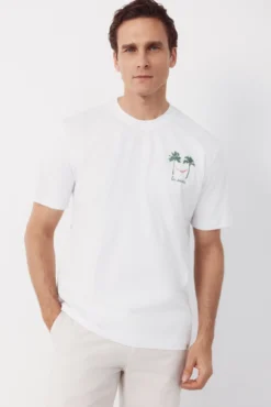 Camiseta gráfica