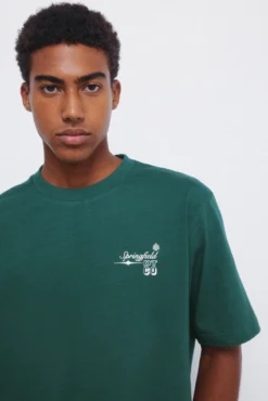 Camiseta Springfield collage