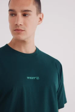 Camiseta whats