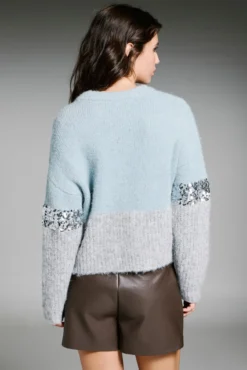 Jersey de lentejuelas