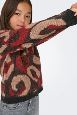 Jersey leo de niña