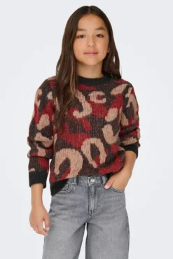Jersey leo de niña