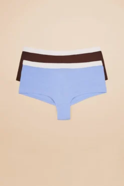 Pack 2 braguitas culotte multicolor: lila y burdeos