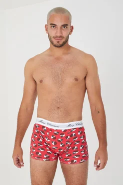 Pack de 3 boxers con estampado