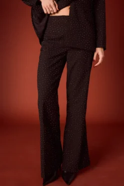 Pantalón campana de strass