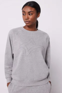 Sudadera algodón logo gris