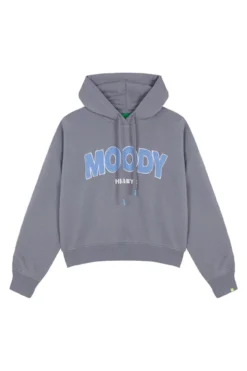 Sudadera capucha felpa algodón gris