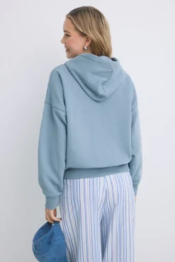 Sudadera capucha felpa algodón gris
