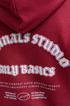 Sudadera capucha original studio