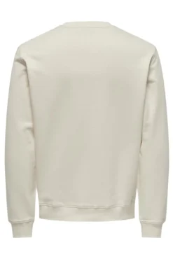 Sudadera de cuello redondo y print pequeño delantero regular fit