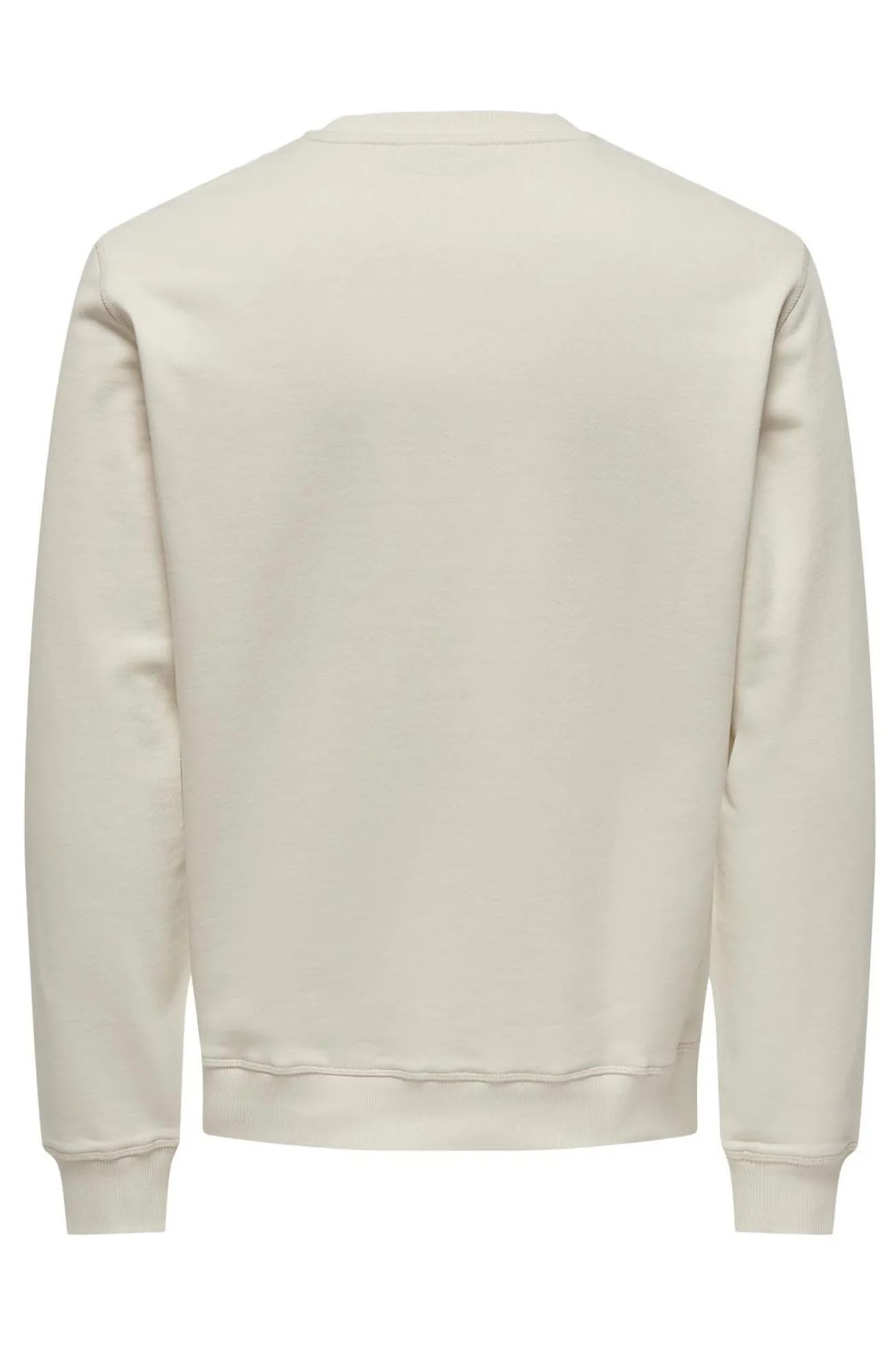 Sudadera de cuello redondo y print pequeño delantero regular fit