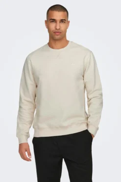 Sudadera de cuello redondo y print pequeño delantero regular fit