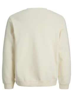 Sudadera regular fit