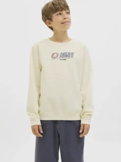 Sudadera regular fit