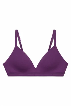 Sujetador triangular relleno morado