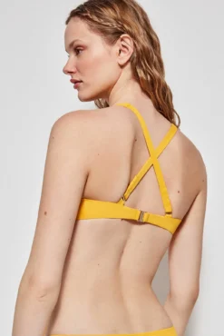 Top bikini triangular