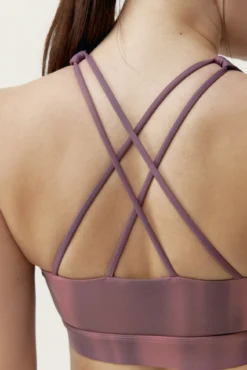 Top Blanche Beet Plant